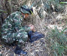 En el Valle hay presencia de estos artefactos en 11 municipios