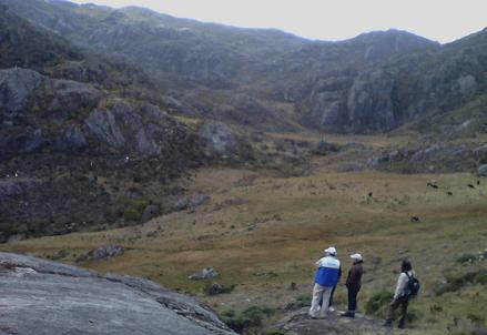 La delimitación actual protege 98 mil hectáreas del ecosistema.