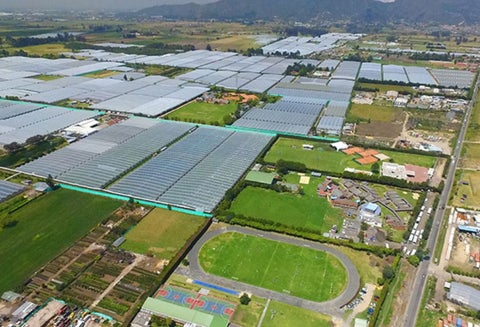 Reserva Van der Hammen