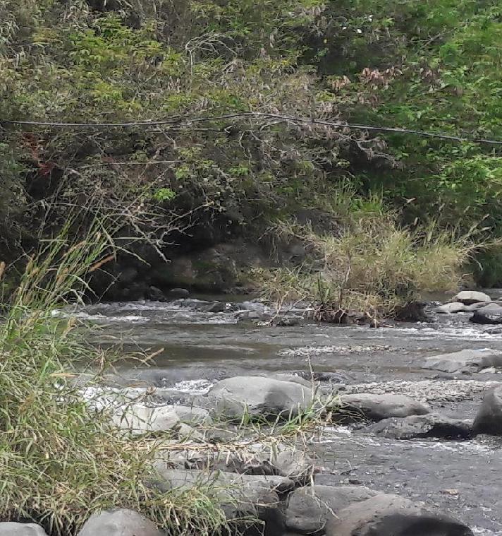 Emcali asegurò que el agua no contiene mercurio