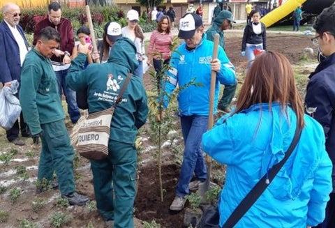 Siembra de árboles en Bogotá