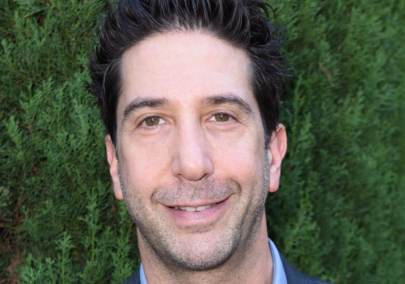 David Schwimmer