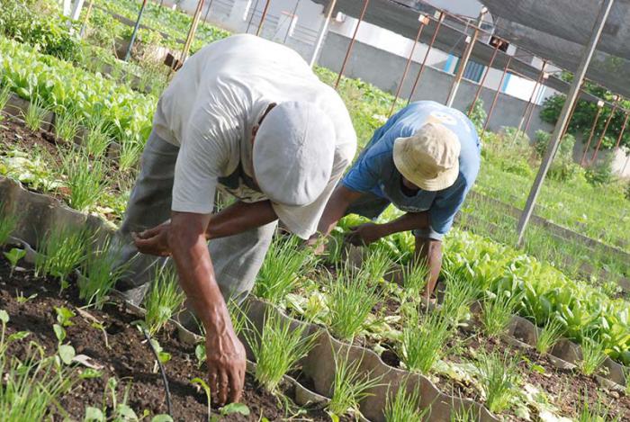Agricultores