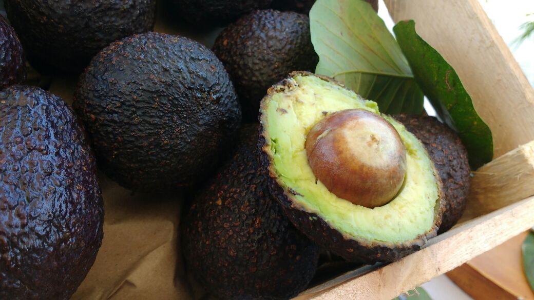 Aguacate hass