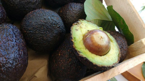 Aguacate hass