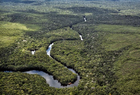 Deforestación en la Amazonía