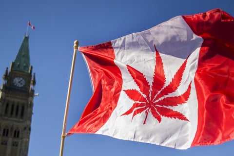 Profesiones para obtener la residencia en Canadá en seis meses