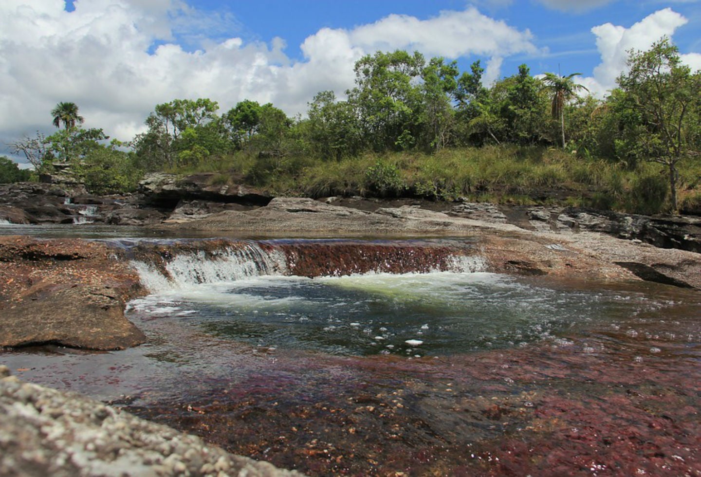 Caño cristales