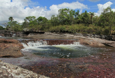 Caño cristales