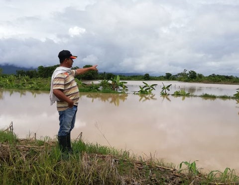 Inundaciones a cultivos de arroz en zona rural del municipio de El Zulia