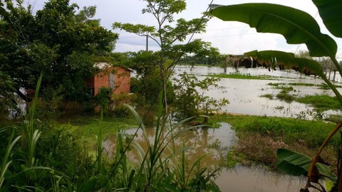 Imagen referencial: Inundaciones en Chigorodó
