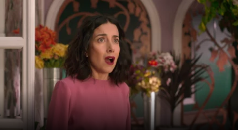 La casa de las flores, serie de Netflix