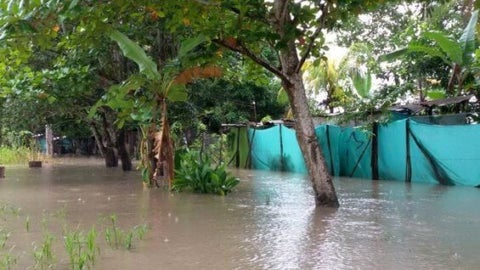 Lluvias Antioquia