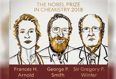 Nobel Química para Arnold, Smith y Winter