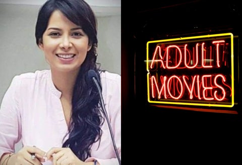 La diputada Ángela Hernández lanzó fuertes críticas a la industria de la pornografía.