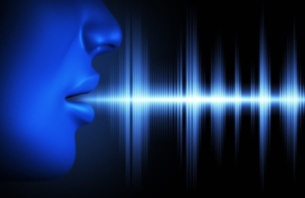 Voces