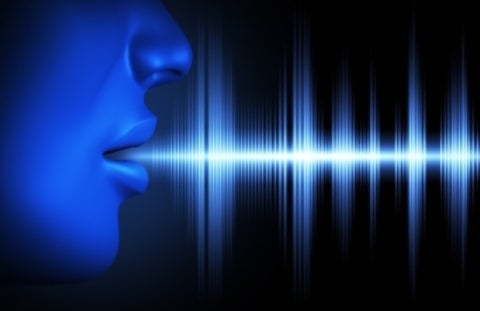 Voces