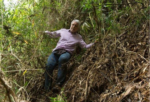 Enrique Peñalosa perdido en los cerros orientales