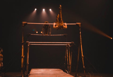 Circo del sol -Amaluna