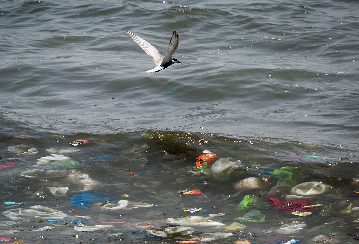 Mar contaminado de plástico