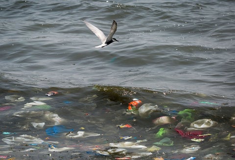 Mar contaminado de plástico