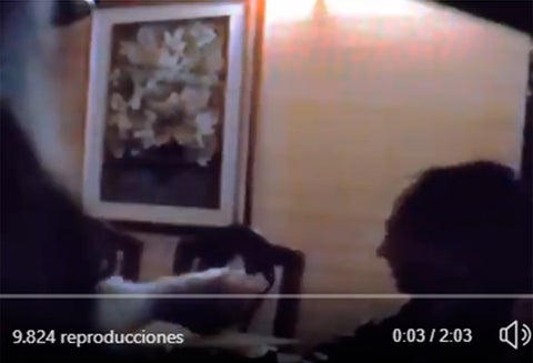 Gustavo Petro en el video publicado por Paloma Valencia