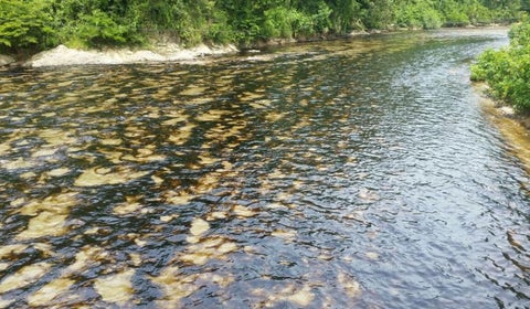 Río Arauca/ imagen de Archivo.