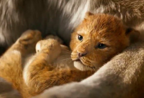 Revelan el primer trailer de El rey León