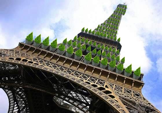 En París se han dado los primeros pasos a la legalización del cannabis terapéutico