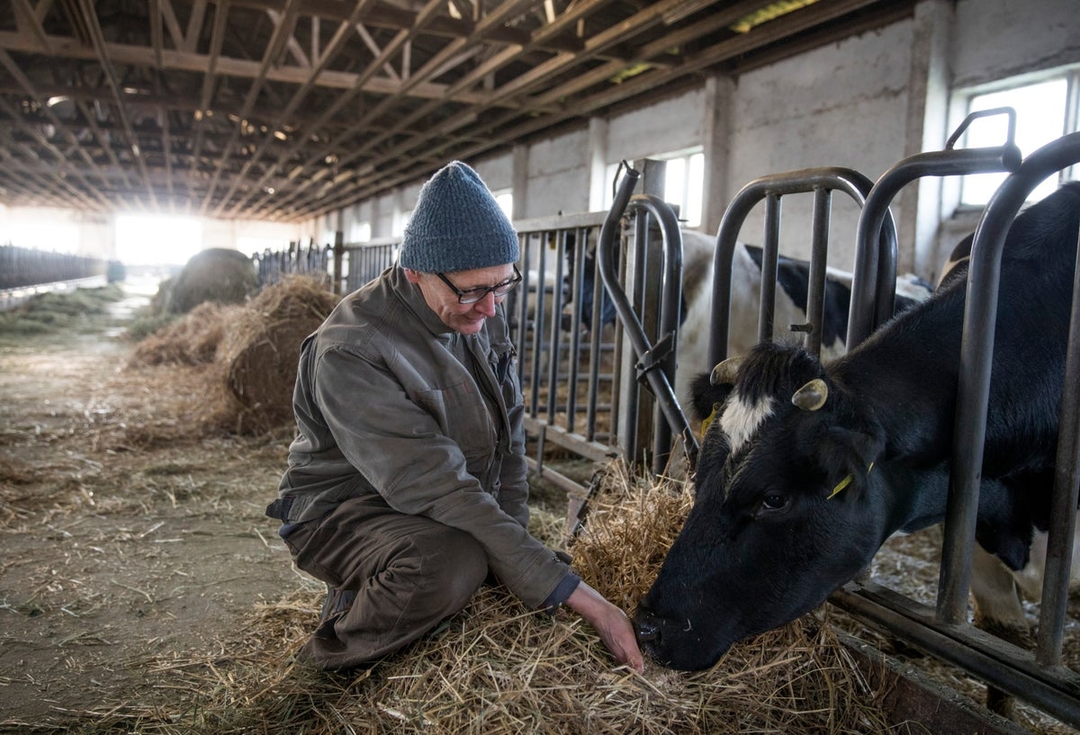 Los agricultores alemanes son los más afectados por el cambio climático en territorio germano.