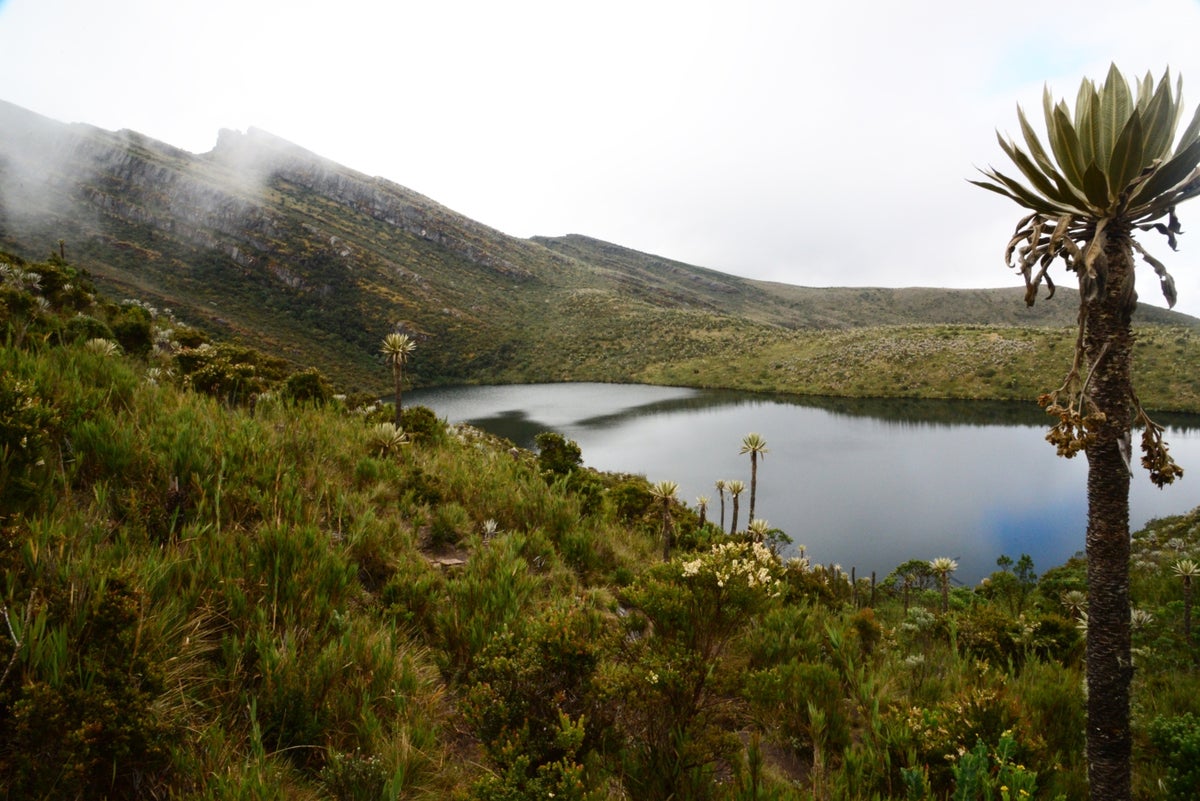 Eco parque