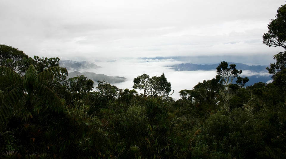 Eco parques