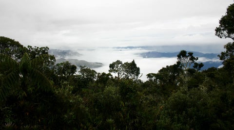 Eco parques