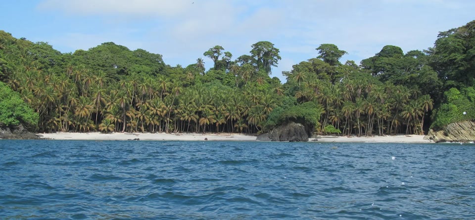 Eco parques