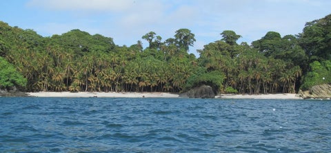 Eco parques