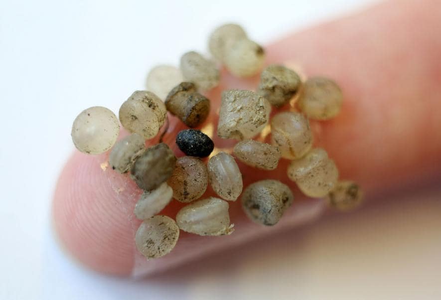Se analiza ahora el impacto del microplasticos en los seres humanos.