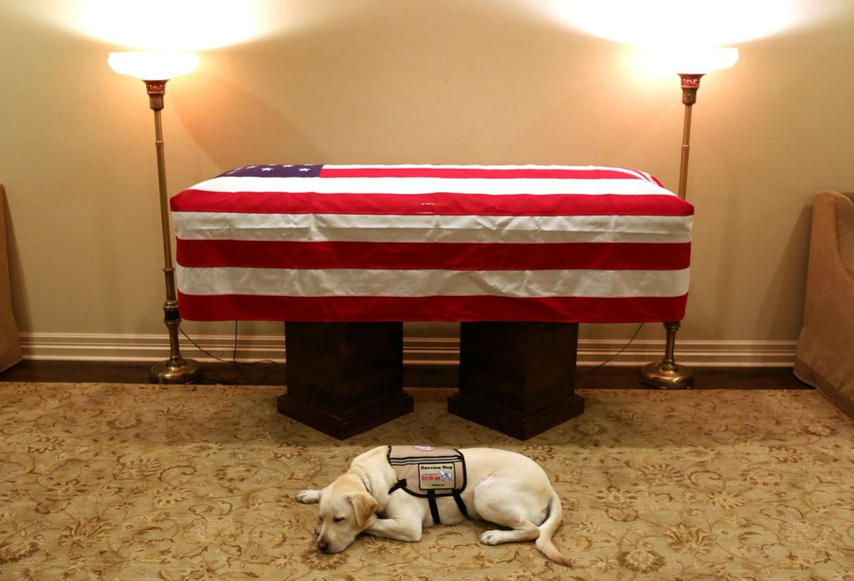 Sully, el perro de George H. W. Bush