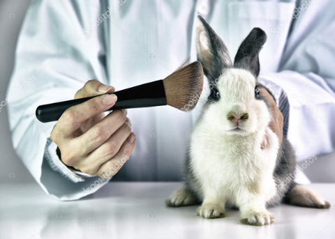 Colombia sería el primer país de América Latina en eliminar el uso de animales en laboratorio