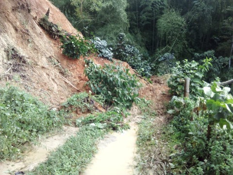 Tragedia en escuela de Calarcá (Quindío) 7