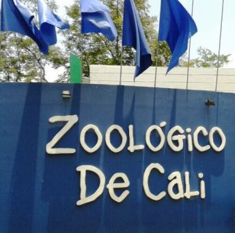 Zoológico de Cali no dejó comer en sus instalaciones a niños en condición de discapacidad