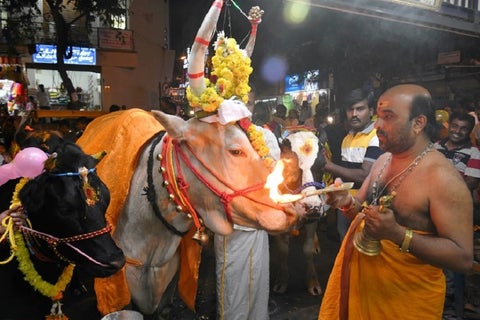 Festival Makar Sankaranti