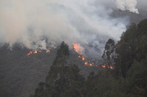 Incendios forestales en Cundinamarca
