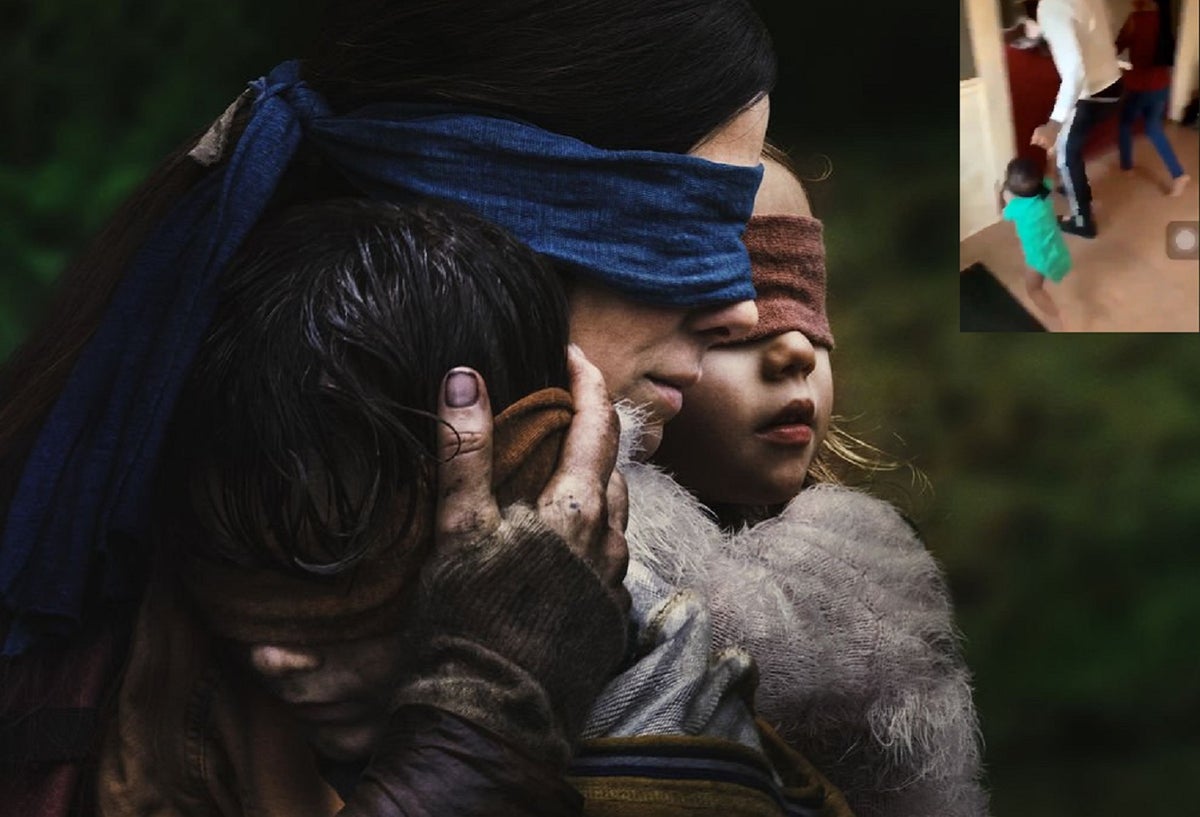 Bird Box