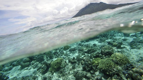 El calentamiento del océano ya tiene consecuencias para la salud humana.