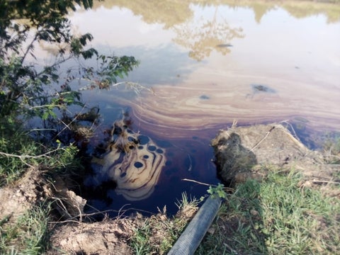 Contaminación ambiental