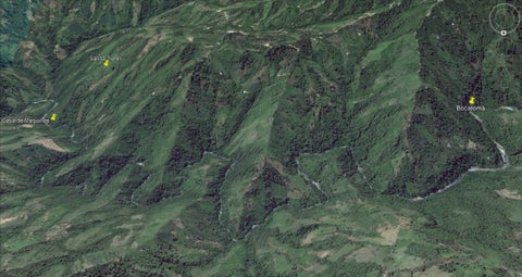 El proyecto abarcaría los municipios de Venadillo, Anzoátegui y Alvarado.