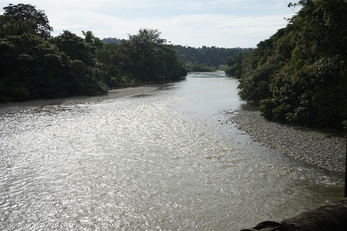 Cipriano