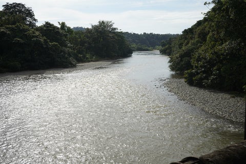 Cipriano