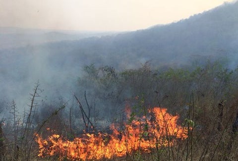 Los incendios han sido controlados por los bomberos.