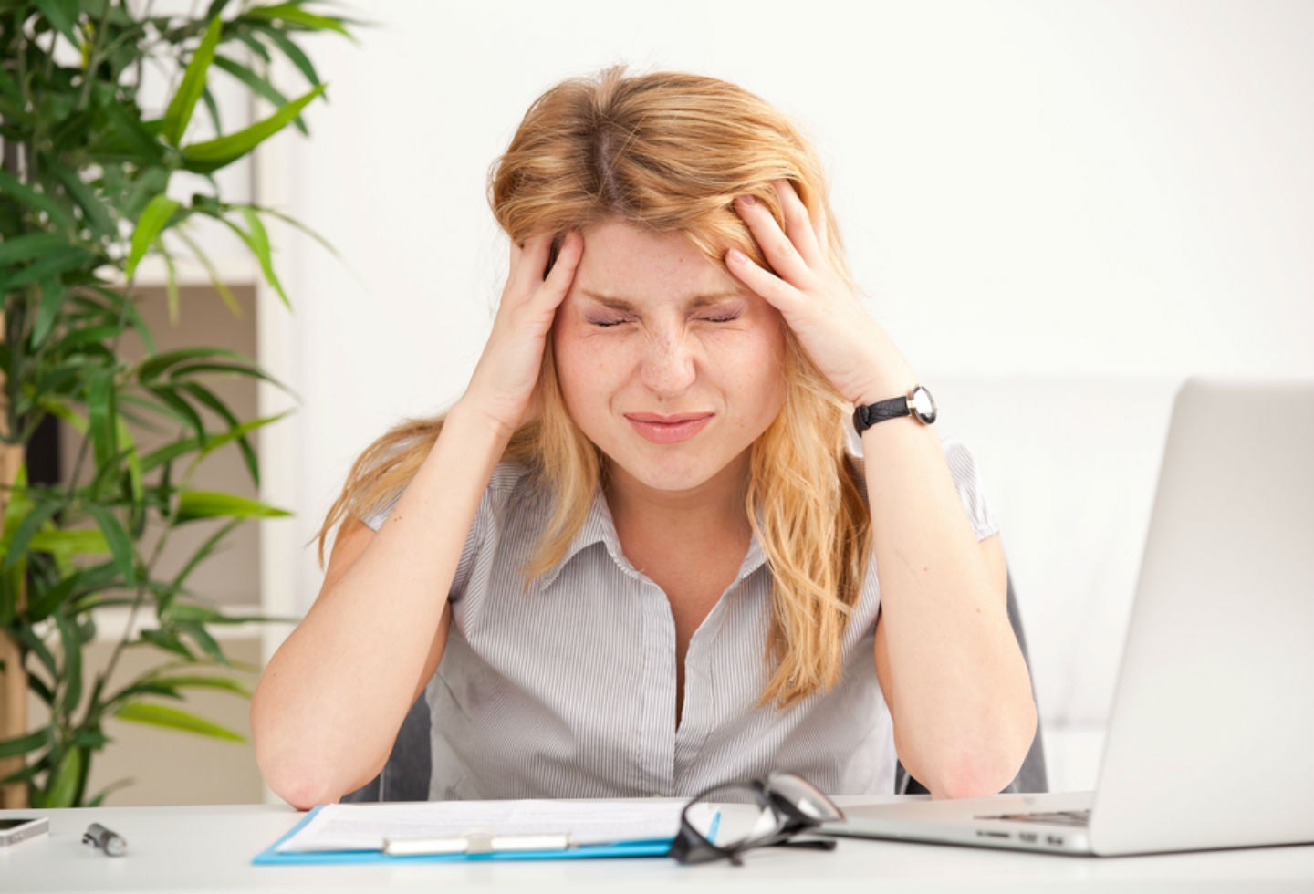 Menopausia